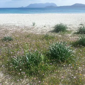 https://villa-maestrale.in-sardinia.net